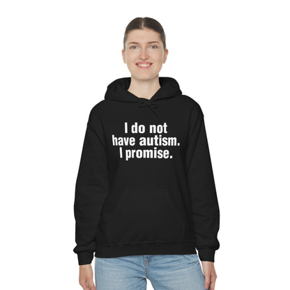 I do not have autism. I promise. (hoodie)