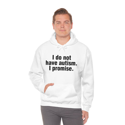 I do not have autism. I promise. (hoodie)