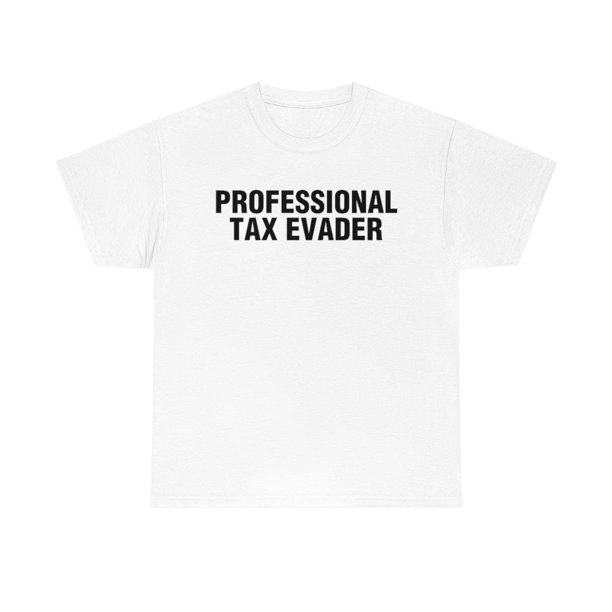 professional tax evader